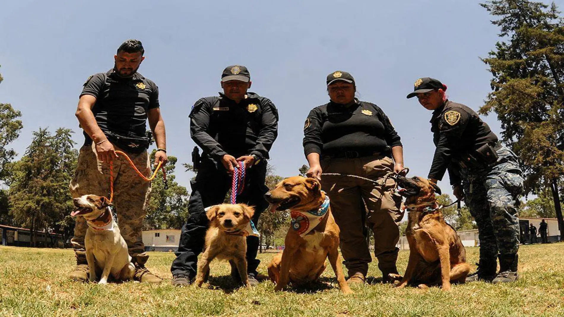 Brigada de vigilancia animal -07